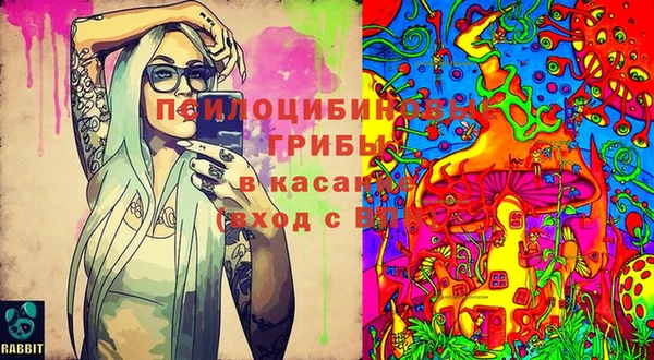 ПСИЛОЦИБИНОВЫЕ ГРИБЫ Алексеевка