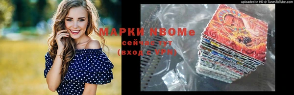 индика Алзамай