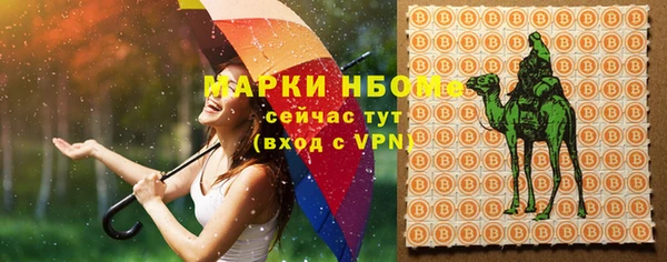 индика Алзамай