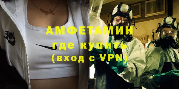 сатива Абаза